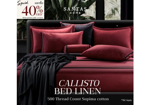 CALLISTO PILLOWCASES SET 2 PCS.